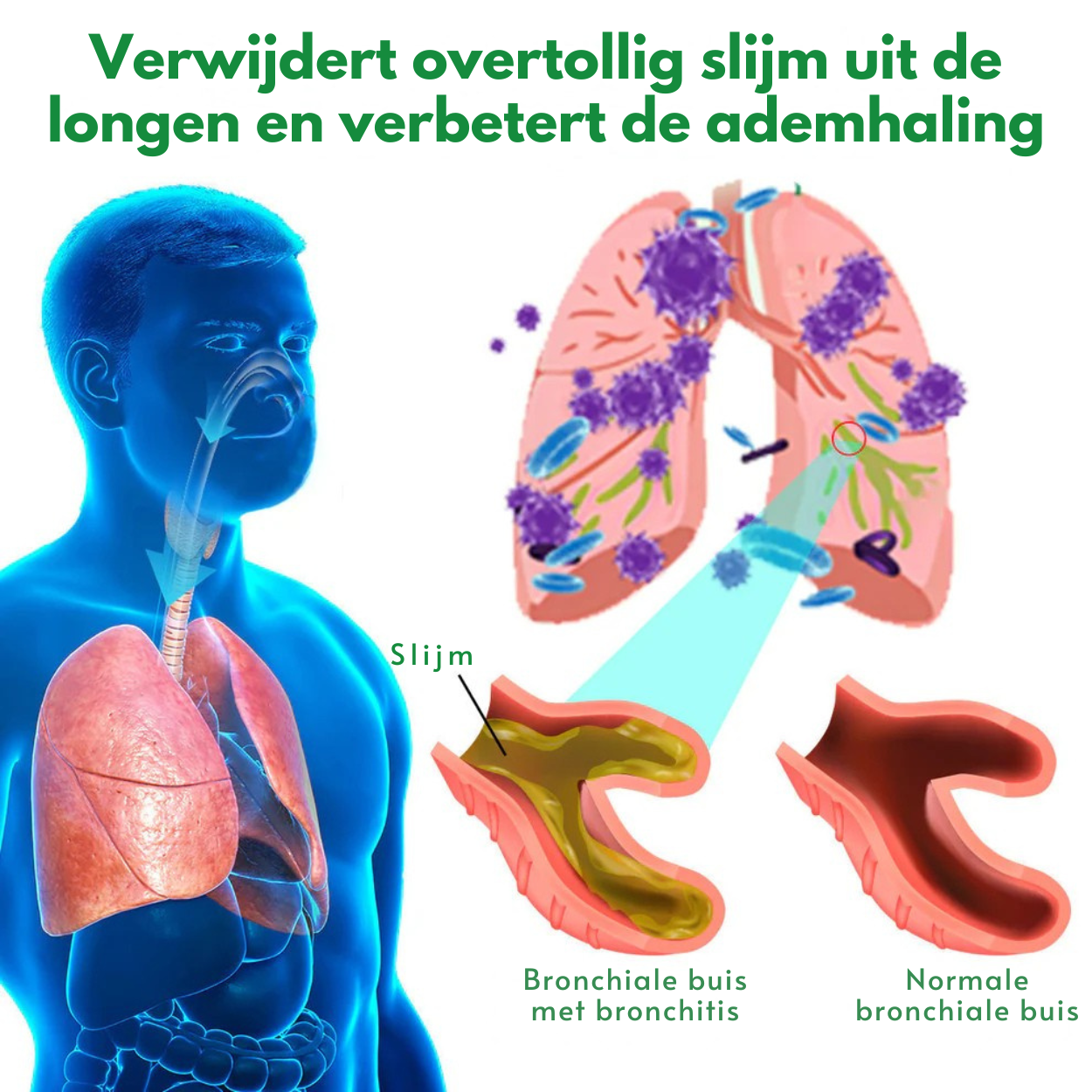 LUMEVANCE™ | Longreiniging Crème