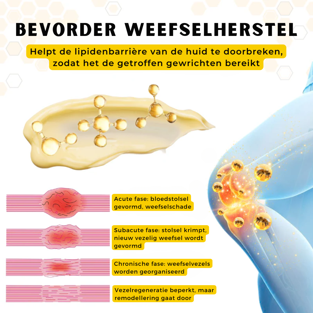 OrthoRestore™ | Gewrichtsverlichtende Crème