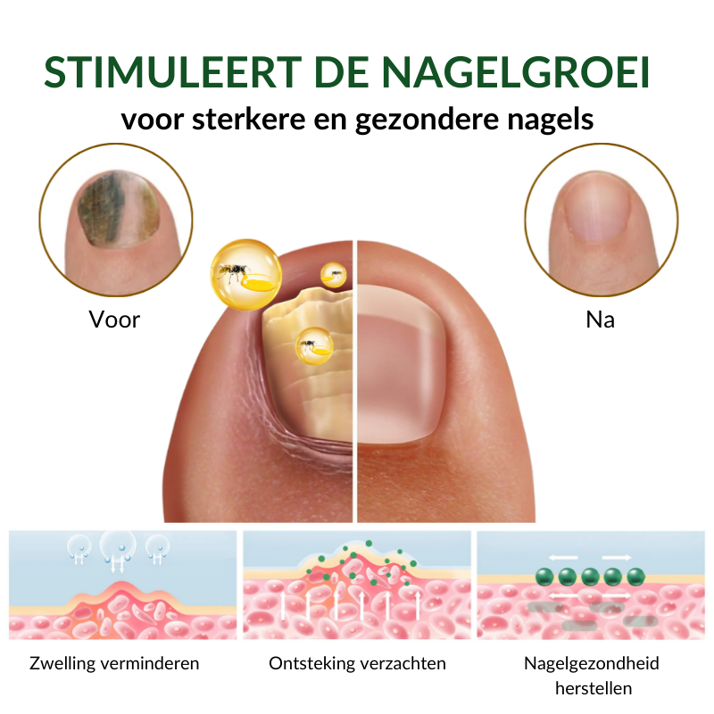 SCHIMIFYX™ | Schimmelbehandelolie