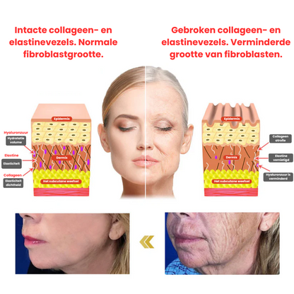 FirmEvoque™ | Verstevigende Lichaamsolie