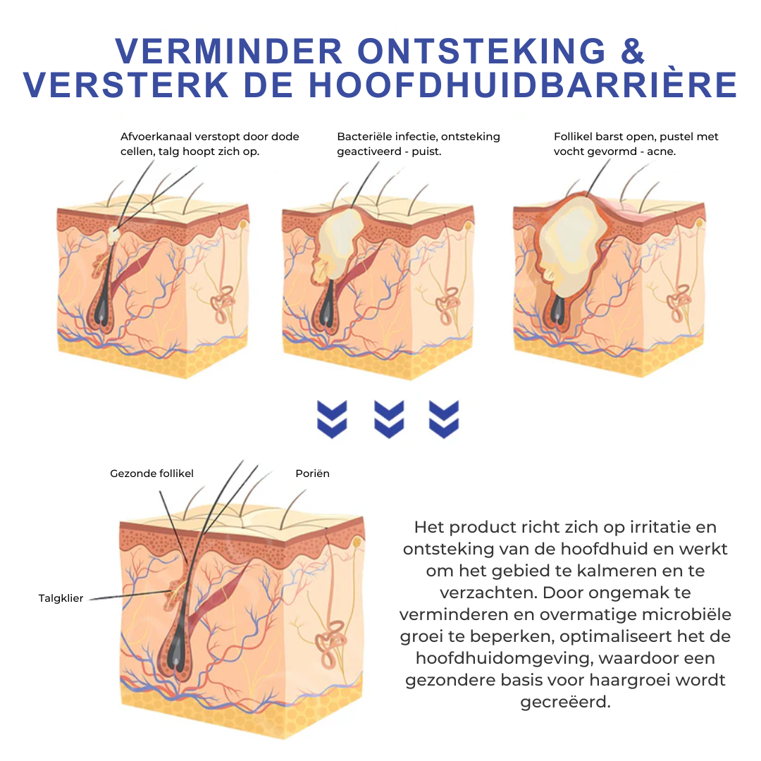 BeeGrow™ | Haargroei Olie