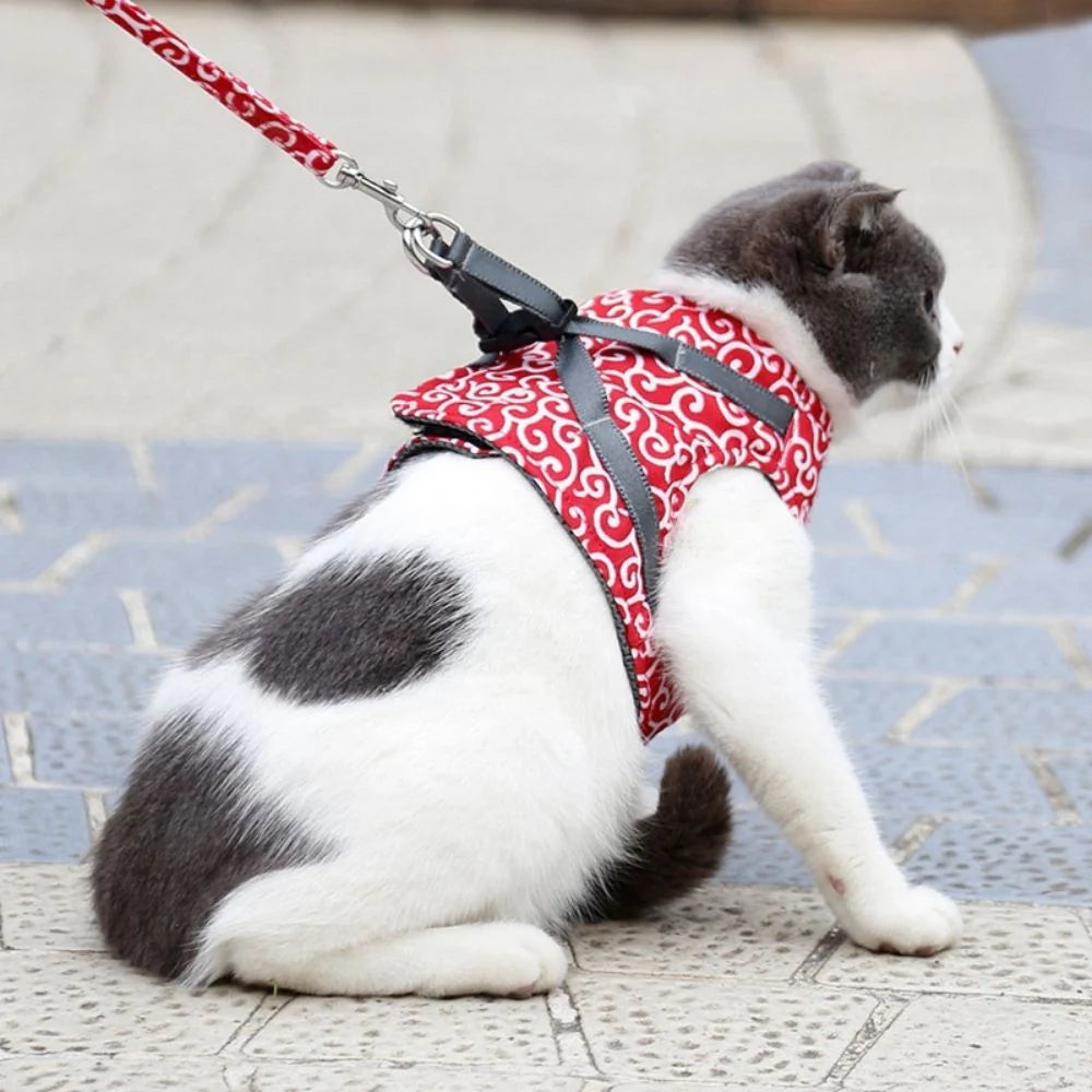 WhiskerWalk™ | Kattenharnas en Leiband