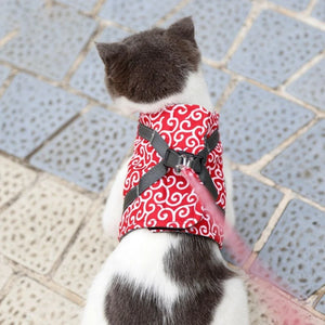 WhiskerWalk™ | Kattenharnas en Leiband