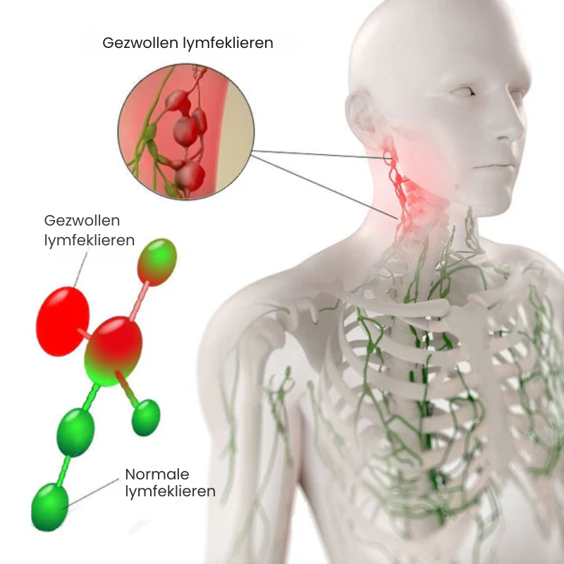 PuriLymph™ | Detox Kruidenolie