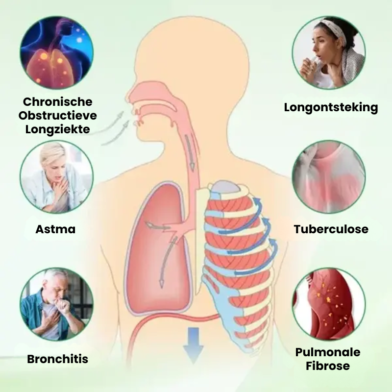 INHARELIVE™ | Kruidenlongdetox-inhalator