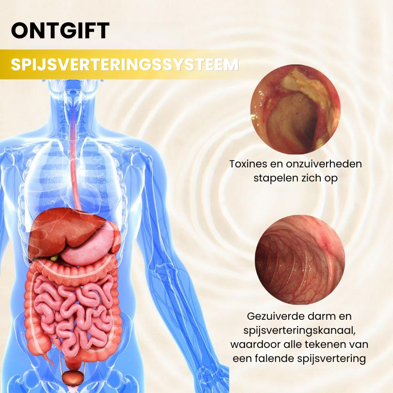 Calm Belly™ | Spijsverteringsbevorderende Olie