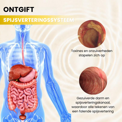 Calm Belly™ | Spijsverteringsbevorderende Olie