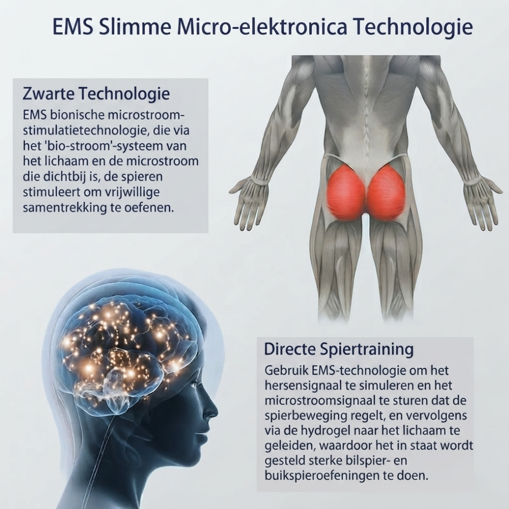 Master Sculptor™ |  Geavanceerd EMS Lift & Tone-systeem