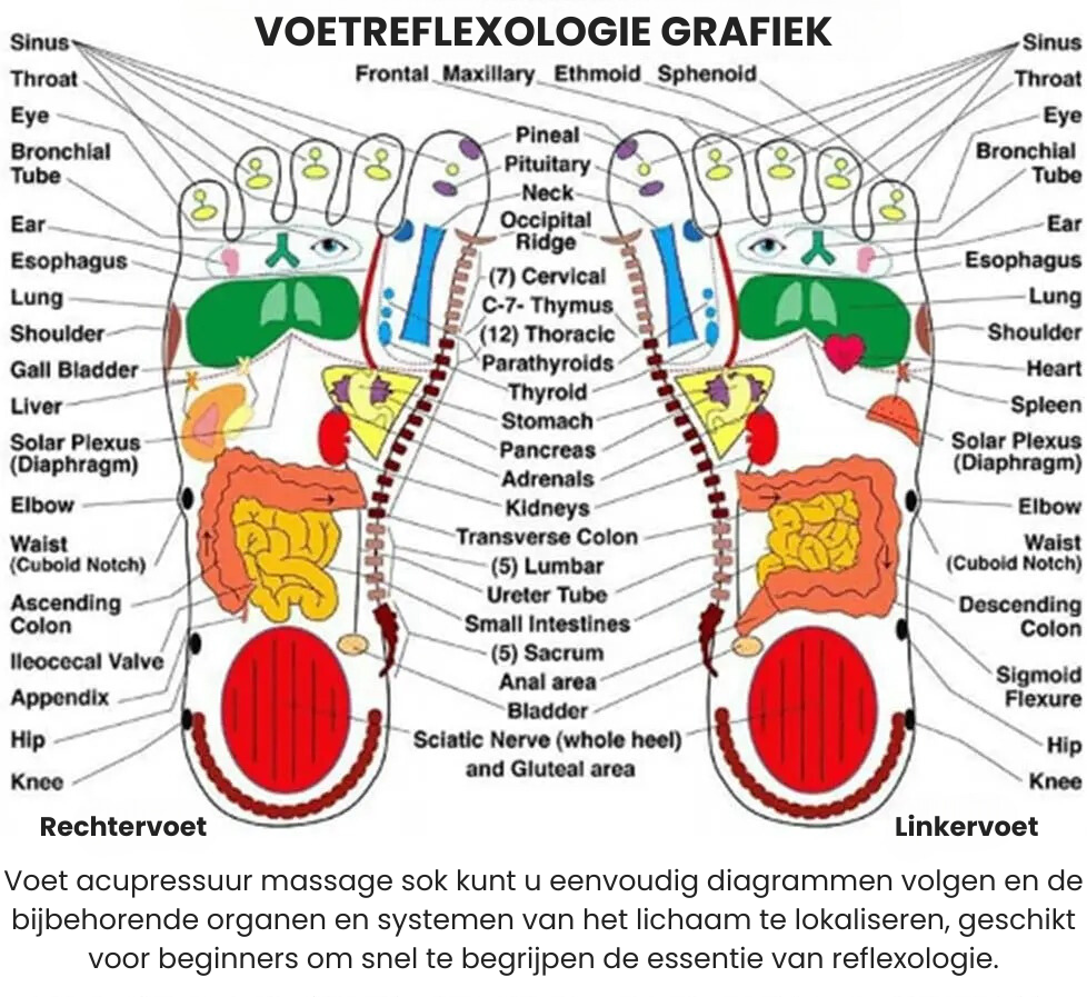 ZENITH™ | Reflexologie Sokken