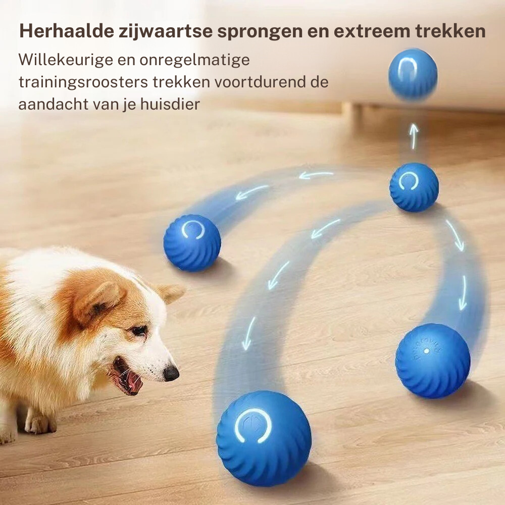 DORTI™ | Elektronisch Slim Interactief Bewegend Bal Hondenspeelgoed