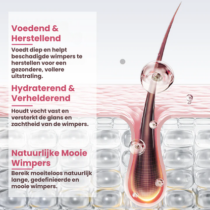 NOCTILASH™ | Wimper Groei Serum